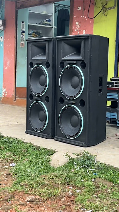 Audiotone 600watt speaker #audiotone #djspeaker #bestspeaker #dj #djsetup #speaker #livesound