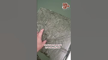 Bất Ngờ Với Công Nghệ In Chuyển Nước Mà Ít Ai Biết - TikTok Kiến Không Ngủ #Shorts
