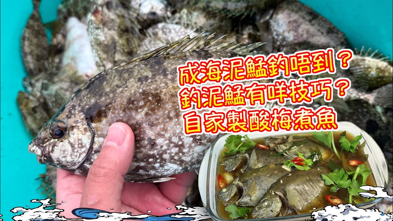 【漁人推介】阿火帶大家出海釣魚，筏釣遇著成海大泥鯭！點解釣唔到？釣泥鯭有咩技巧？自己製作潮式酸梅煮魚 Catch and Cook Fish Receipe Fish with Sour Plums