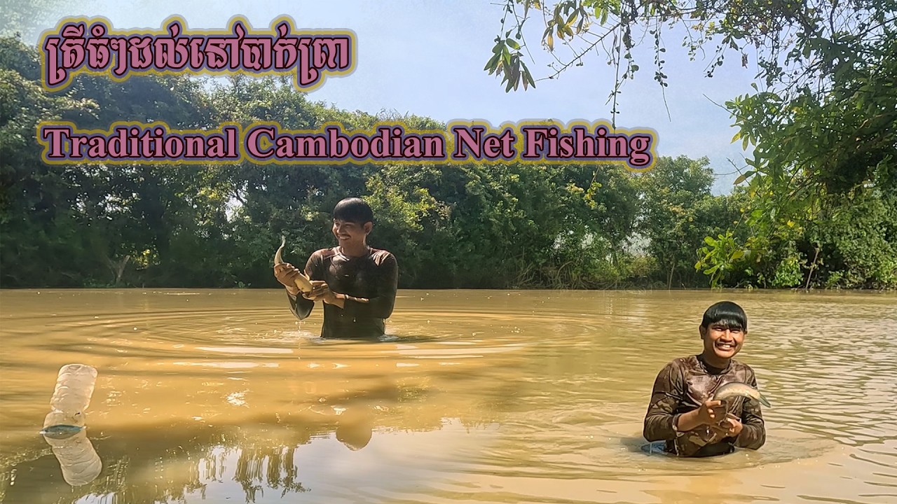 Traditional Cambodian Net Fishing In River | Village Fishing