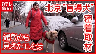 【盲導犬】普及遅れる中国  北京パラで何が変わった？視覚障害者を取材『“新常態”中国』#15