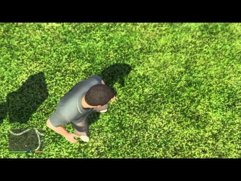 Grand Theft Auto V - The detail is incredible Grand Theft Auto V - The detail is incredible