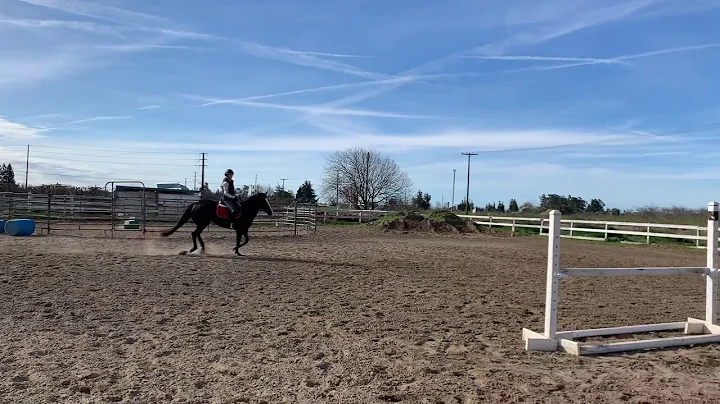 Connie jump 3/6/21