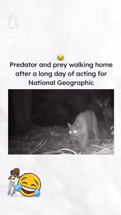 when is natuonal gf day