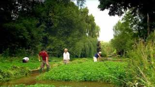 Grow your own Watercress
