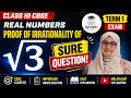 Proof of Irrationality of √3 🔥 Sure CBSE Board Question | Class 10 Maths