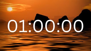 60 Minute Timer