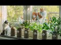 #43 Grow Vegetables 🥬 in Glass Jars - Without Soil | Hydroponic Gardening