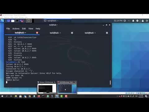 Vulnserver chat via Telnet