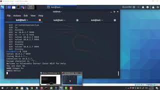 Vulnserver chat via Telnet