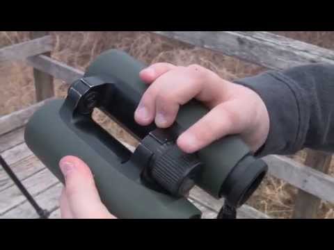 How to Focus Binoculars