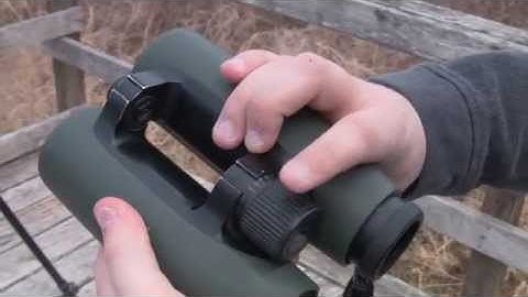 How to Focus Binoculars
