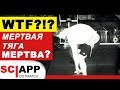 Мертвая Тяга и Становая Тяга - Чем Опасны и Стоит Ли Избегать? | Джефф Кавальер