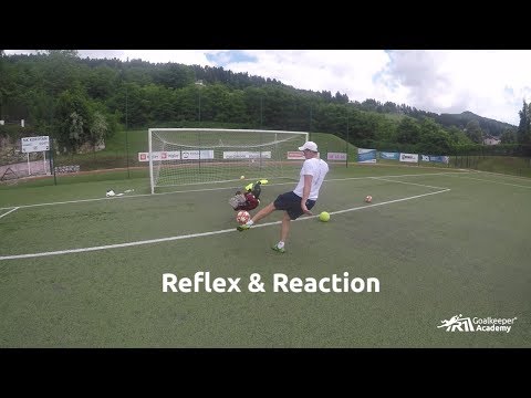 Goalkeeper training: Reflex & Reaction