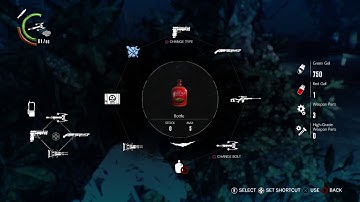 Laughing Guardian Laughs No More