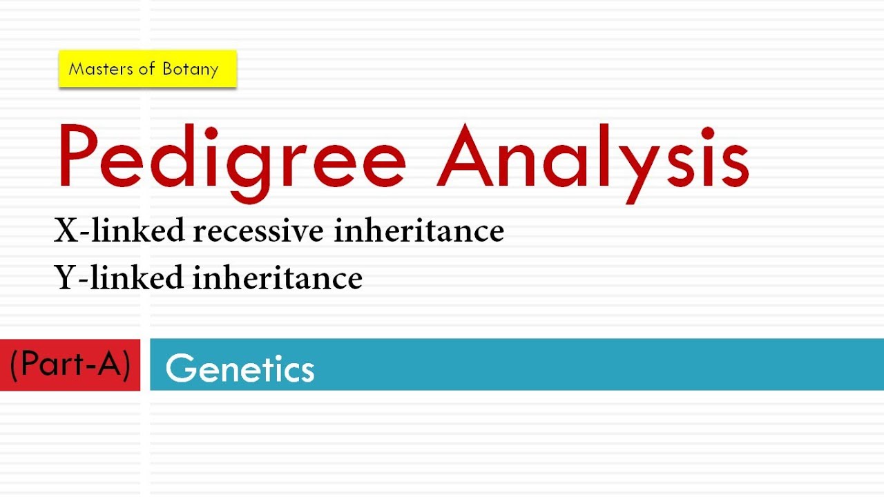 X Linked Recessive Pedigree Youtube 8.2 Human Inheritance – Guest