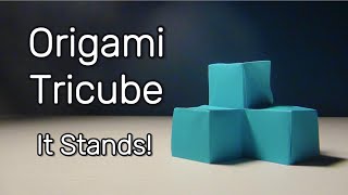 Origami Tricube High Intermediate