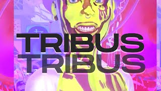 TRIBUS | Aleteo 2022 👑 | DJ PILIN ft JDBASS ▶️▶️