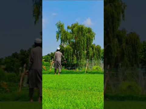 يتمتم ربى ايا غافرا رجوتك عفوا ولا لى سوا حالة واتساب واتساب دينيه Short Viral