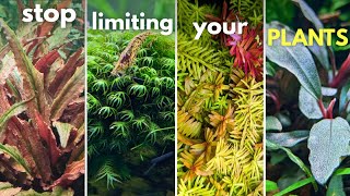 4 extra steps for INSANE aquarium plant growth