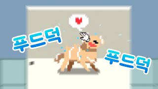 일주일 만에 만든 강아지 씻기는 게임 [도그워시! : Dog Wash!] screenshot 4