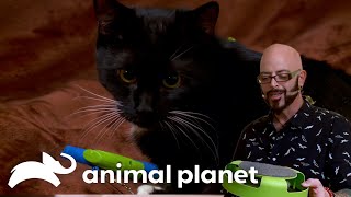 In The Words of Jackson: Real Men Like Cats | My Cat From Hell | Animal Planet