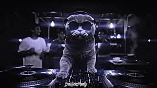 Download Lagu DJ KAMIN GAGAL SAD KANE STYLE LAMBADA VIRAL TIKTOK YANG KALIAN CARI MENGKANE TERBARU MP3