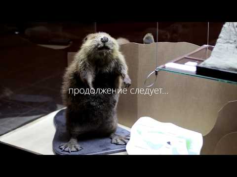 10 секунд из работы Дарвиновского музея