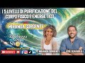I 5 livelli di purificazione del corpo fisico e energetico
