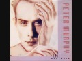 Peter Murphy My Last Two Weeks Subtitulada mp3