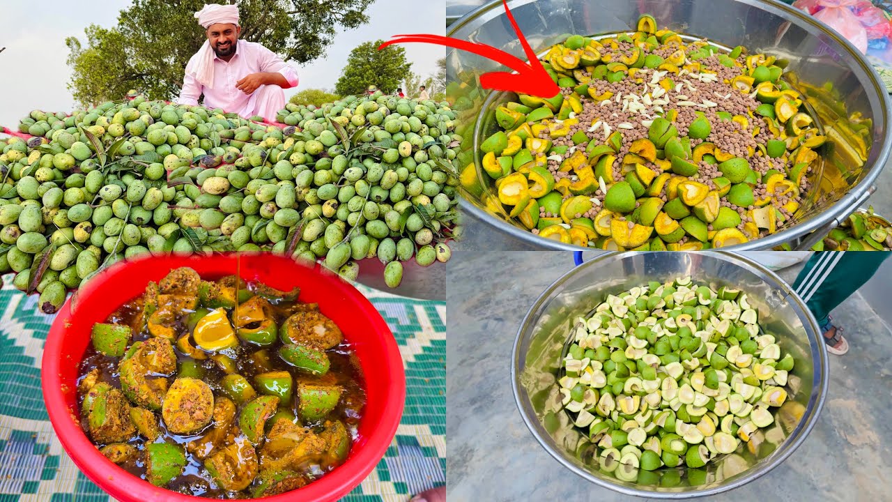 30kg Secret  Recipe of Mango Pickle  in Our Village ( 3/4 Years life ) Fresh Aam ka Achar