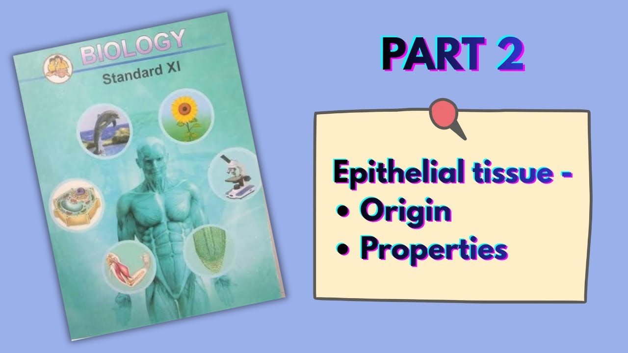 Animal Tissue 11 Class Biology | Chapter 10 Maharashtra Board | Epithelial Tissue in Hinglish.