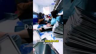 Download Lagu Hari Pertama Kerja di MBG #lucuabis #lucungakak #momenlucu #viralindonesia #ngakakkocak #fypp MP3