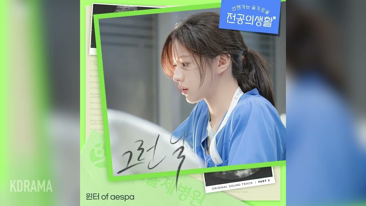 윈터 (WINTER) - 그런 날 (On Such a Day) (언젠가는 슬기로울 전공의생활 OST) (Resident Playbook)ㅣ가사 Lyrics
