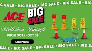 Modern Lifestyle BIG SALE at ACE HARDWARE