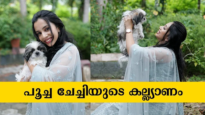 I ENGAGEMENT VLOG I BINU SEENS I BENSON I SANDRA