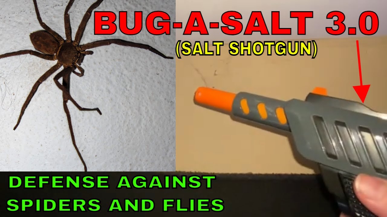 BUG-A-SALT Black Fly Edition 3.0 Salt GUN Rifle Non-Toxic Bug Killing  Device