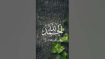سورة الشرح للشيخ خالد القحطاني ❤️❤️