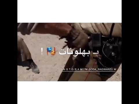 حاله واتس الاشبال بقو فتوات