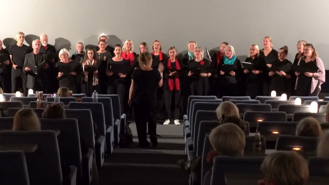 38. Husumer Filmtage Kulturkeller Chor 2023