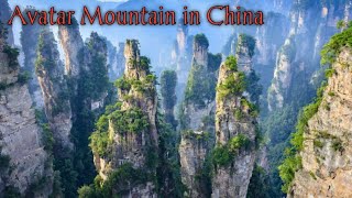 Avatar Mountain Zhangjiajie In China Hd