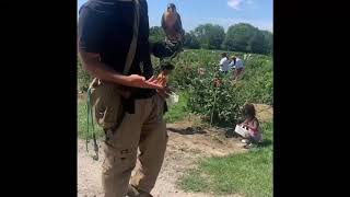 Blueberry Picking canada srilanka blueberry travel Summer family කැනඩාවෙ  ?  කඩමුsubscribe