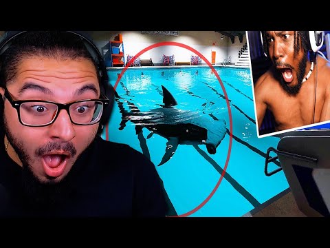 CoryxKenshin - MY DEEPEST FEAR. There's a SHARK in the POOL [Sharks And Minnows] | REACTION