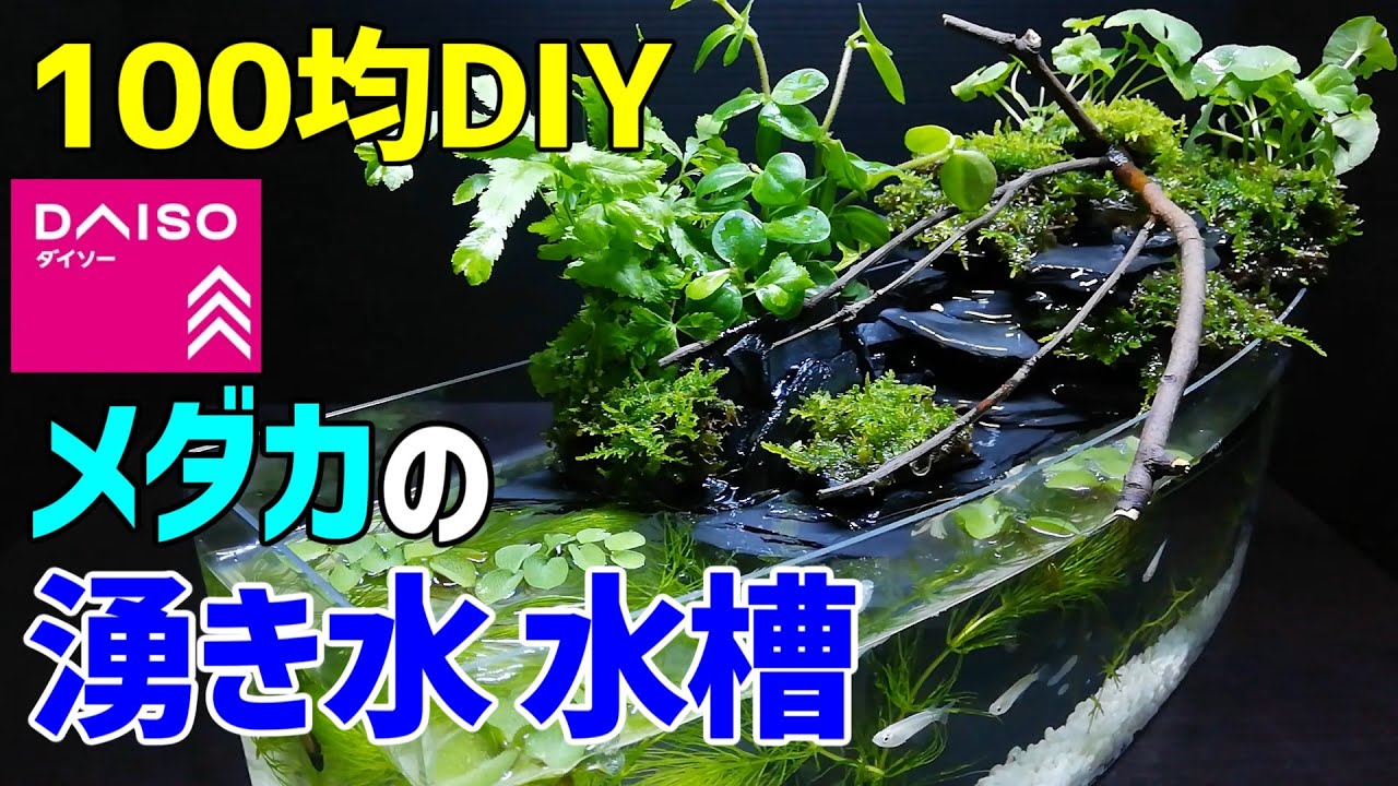 メダカの 湧き水 水槽 作り方100均diy メダカ室内飼育 ダイソーアイテムで作成 How To Make Tabletop Waterfall Fountain Aquarium Youtube