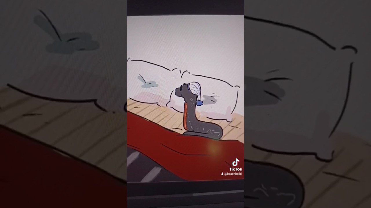 Crowley has separation anxiety 