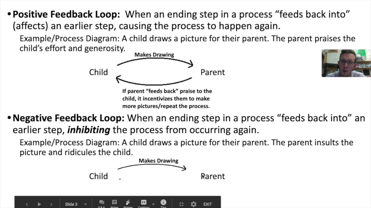 Positive and Negative Feedback Loops