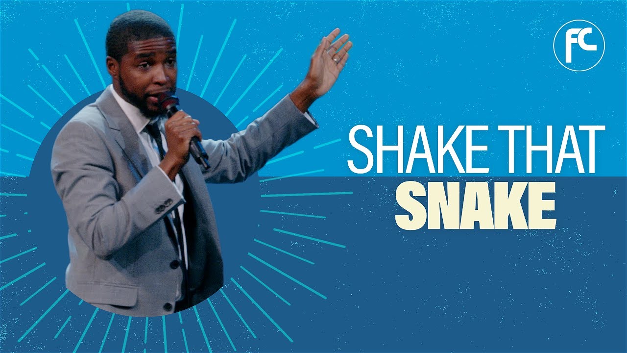 Shake That Snake