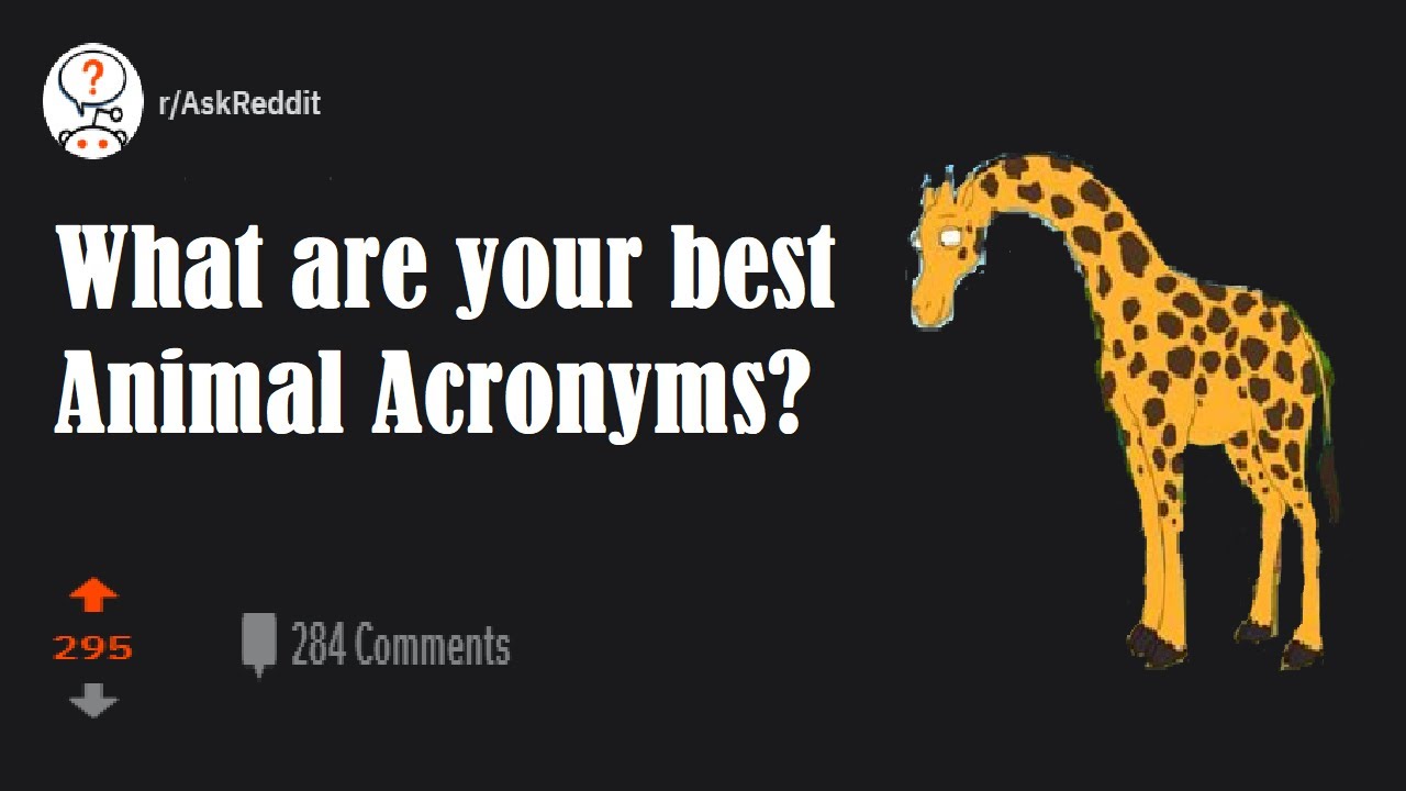 What Are Your Best Animal Acronyms (r/AskReddit) Reddit Sphere YouTube
