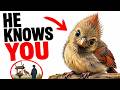 HE KNOWS WHO YOU ARE (And Here's How)