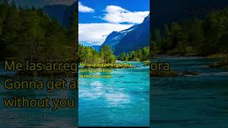 Gonna Get Along Without You Now Viola Wills  cancioneseningles s s